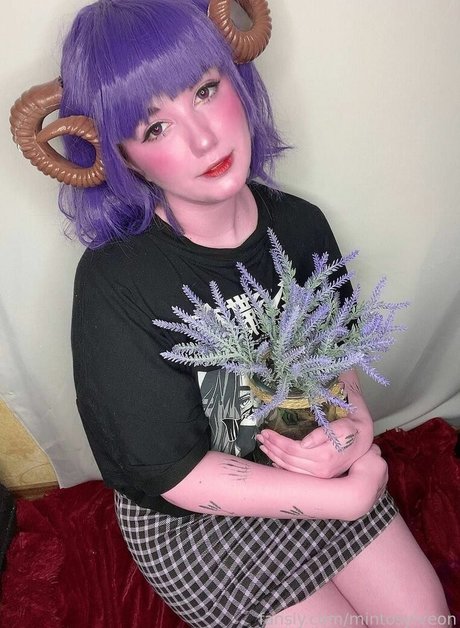 mintosylveon star xxx image