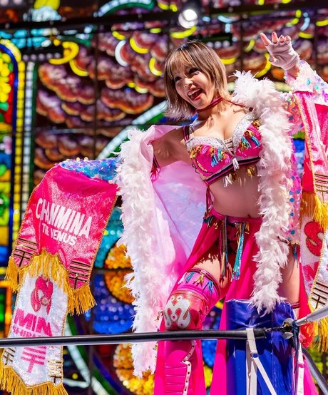 Mina Shirakawa sex star image