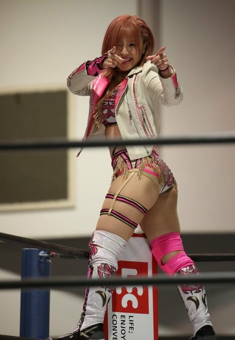 Mina Shirakawa model perfect archive