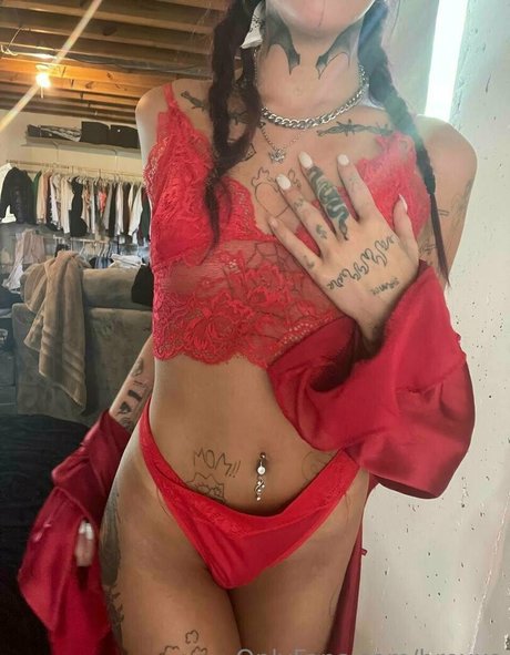 brexxo star top photo