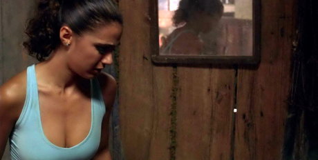 Emmanuelle Chriqui model high quality img