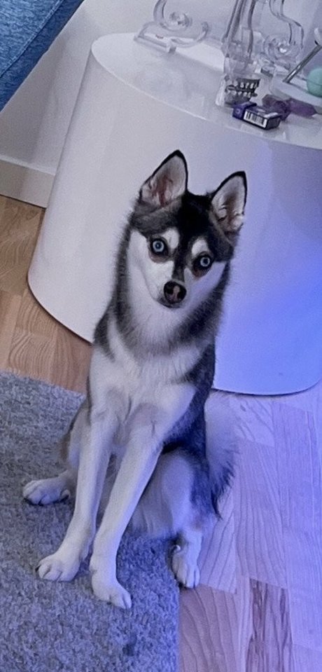 asian dp onlyfans art porn archive