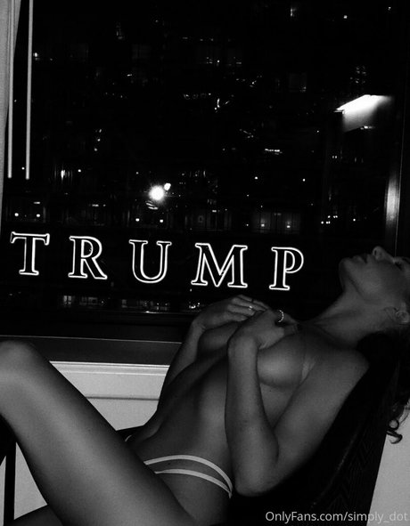 Simply Dot model best archive