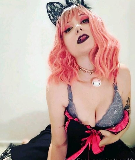 nattend0 nudes pornstar archive