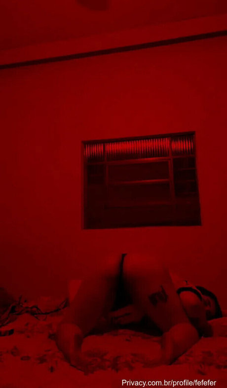 fefefer star high quality pic