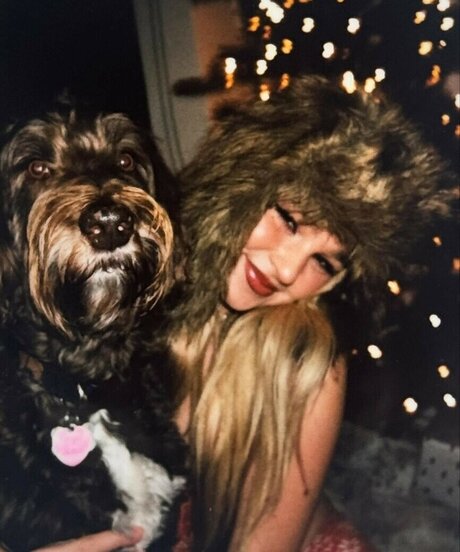 Abby Paradise Profile