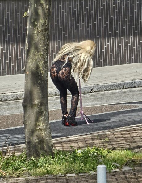 centerfold onlyfans adult archive