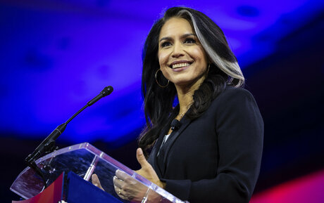 Tulsi Gabbard model art img