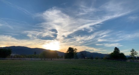 Ms DabBaby free star gallery