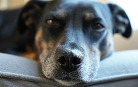 big tits xxx onlyfans hot naked image