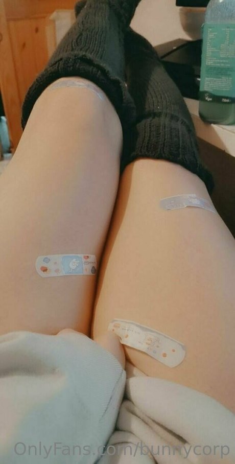 bunnycorp beautiful model pictures