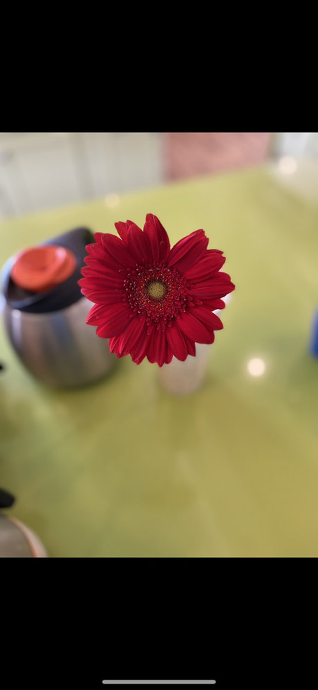 sexy thong onlyfans porno image