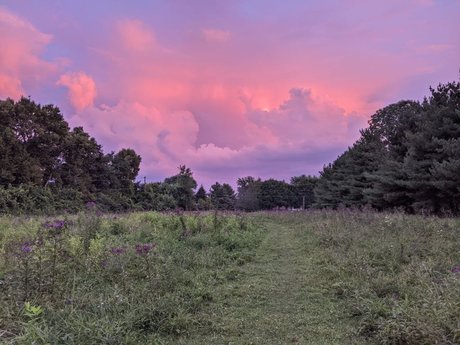 Domme Philippi pornstar nice img