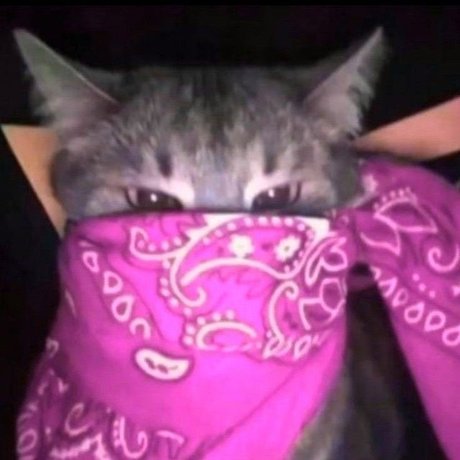 Sneja sexy model img