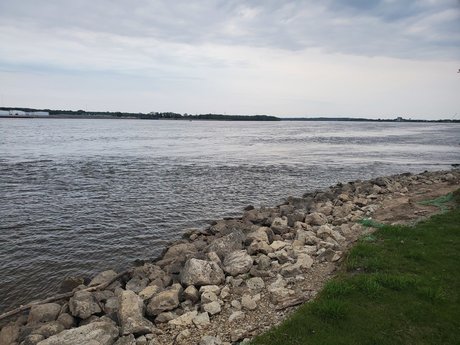 Pup Rella top pornstar picture