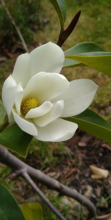 Ash Jones naked model archive