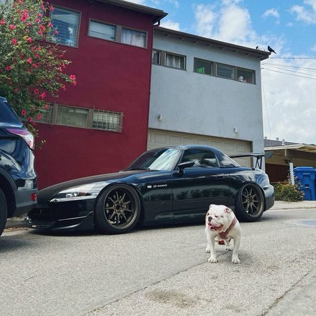 big tits brunette onlyfans sexy naked image