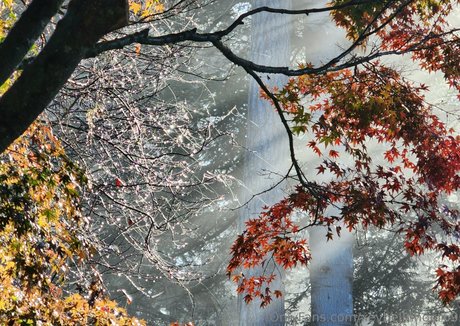 bbw mature onlyfans hot naked picture