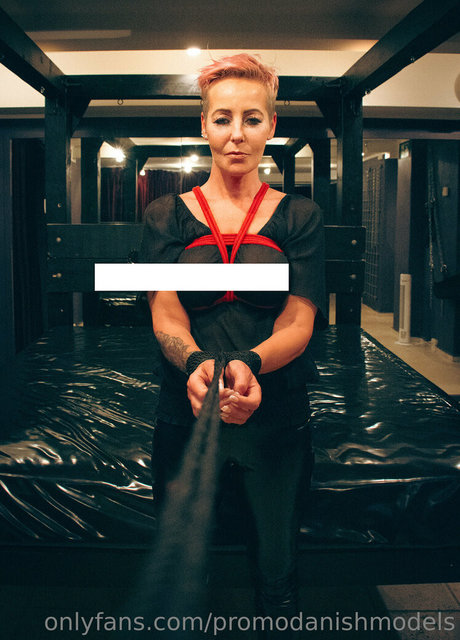 upperfloor free star photos