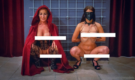 upperfloor star best gallery