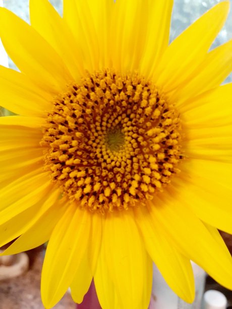 BarefootSpirit xxx actress images