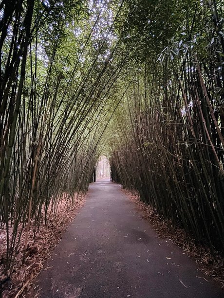 Miky 88 perfect pornstar pictures