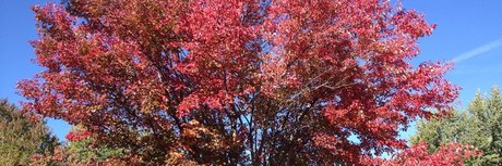 brunette petite onlyfans art porn photo