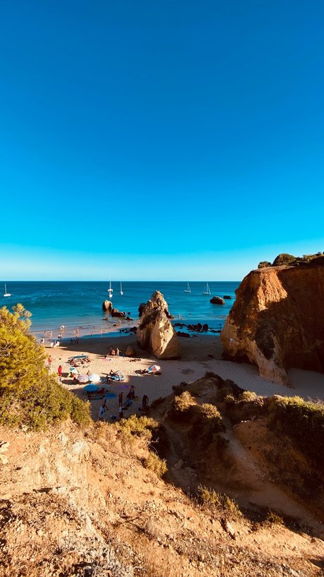 Miguel Matos beautiful star photo