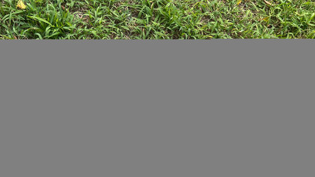 gay influencer onlyfans pornos gallery