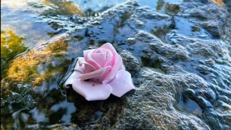 Miss Love Heart star best gallery