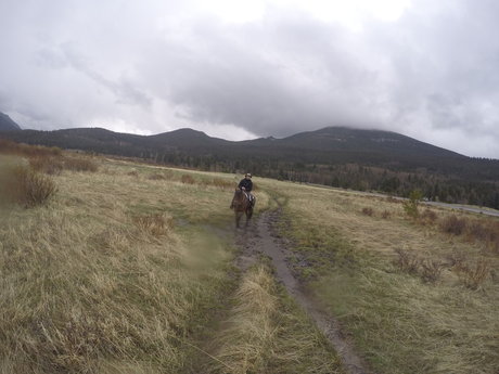 Simon UK art model galleries