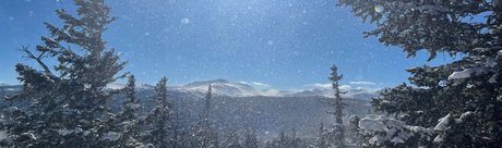 Alisha Dallas pornstar sexy image