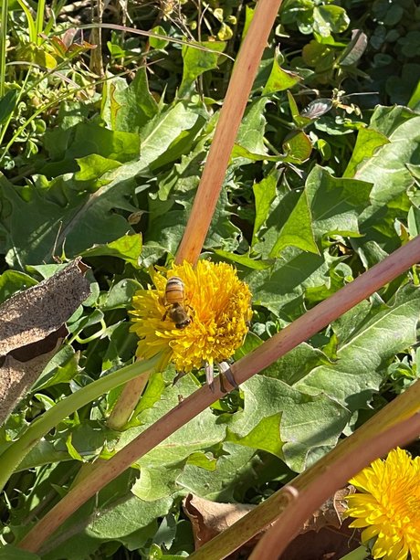 beach onlyfans pornographic pictures