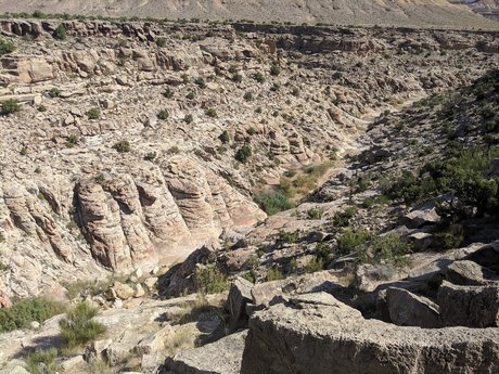 elTigre00 pornstar nudes pics