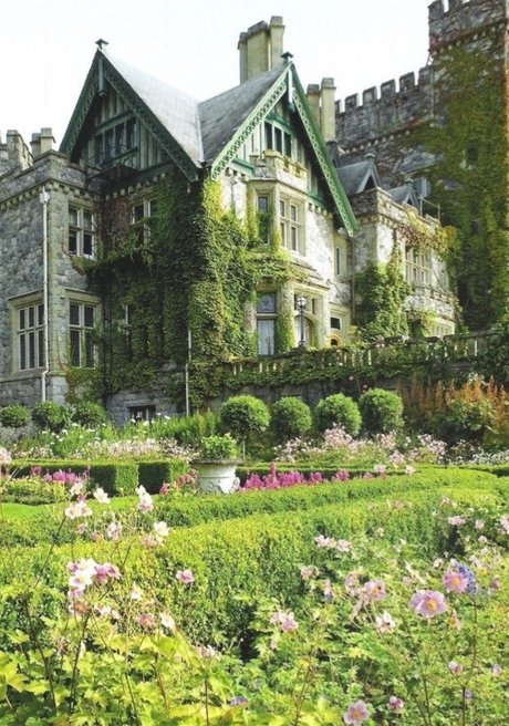 curly and curvy pornstar nude images