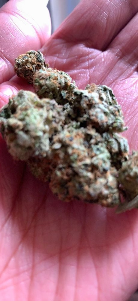 CraveJames model hot img