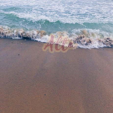 alta perfect star archive