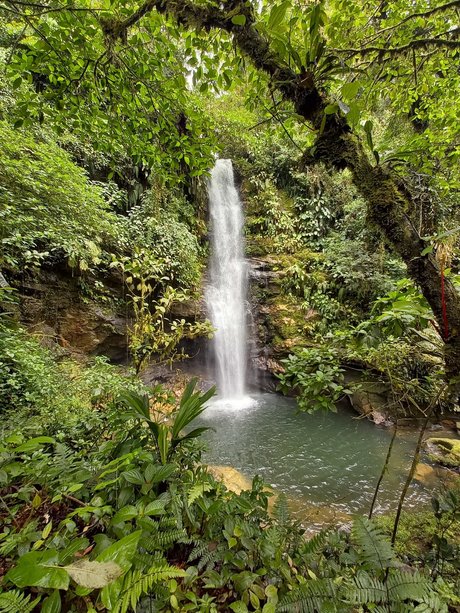 Darkcary free model image