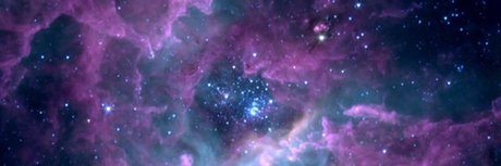 Charlie Nolan exclusive star picture