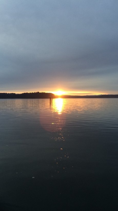 NoFaceMang pornstar beautiful gallery