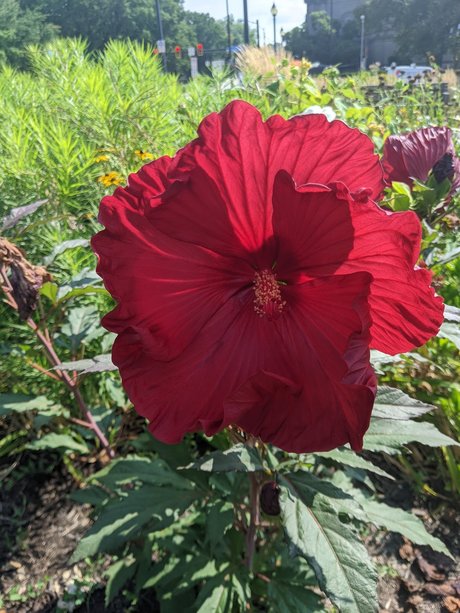 Mxs naked actress gallery