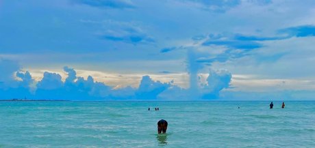 abrameduar nudes model photos