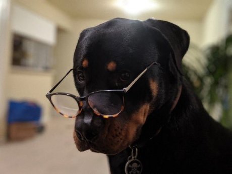 Daddy Sim_ high quality actress img