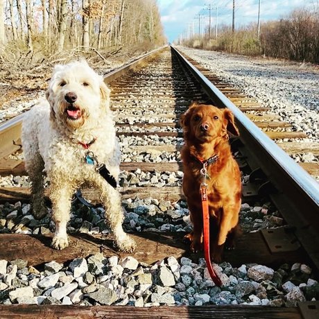 Cougarmeat hot star pics