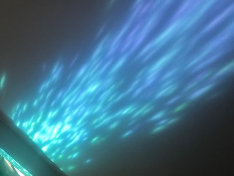 Pierce Dani nice star pics