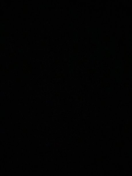 The animal star exclusive galleries