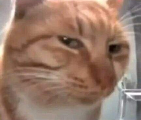 Benny Boy star top pic