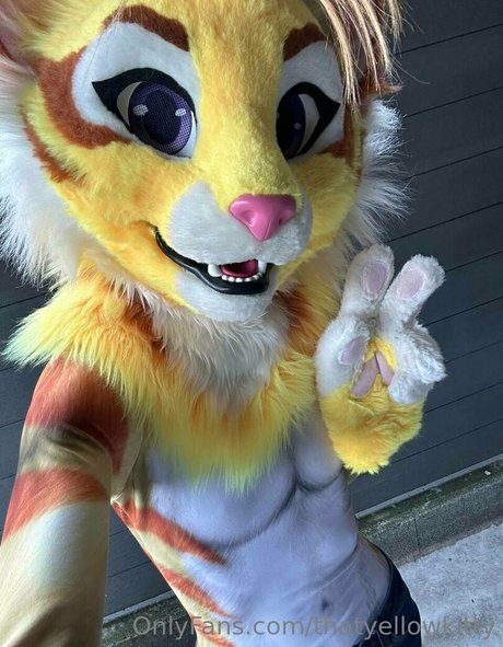 thatyellowkitty xxx star galleries