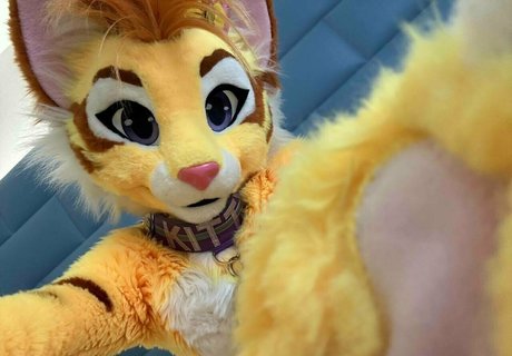 thatyellowkitty star hd gallery