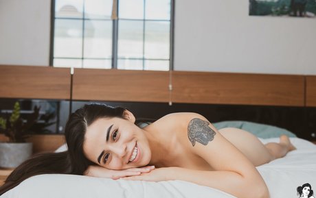 asian dildo onlyfans porn archive